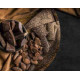 Perugia Eurochocolate
