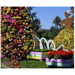 EUROFLORA 2025 "LA NATURA SI FA SPAZIO" - Venerdì 25 Aprile