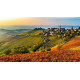 AUTUNNO NELLE LANGHE - Domenica 2 Novembre 2025