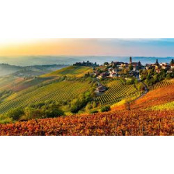 AUTUNNO NELLE LANGHE - Domenica 2 Novembre 2025