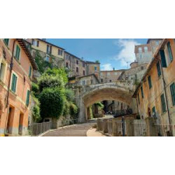 AREZZO AUTENTICA - Domenica 9 Novembre 2025