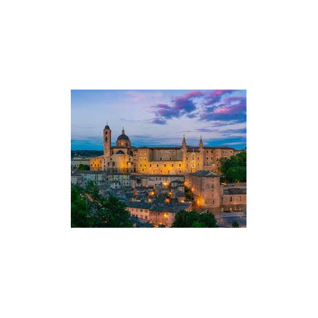 PESARO E URBINO: Tesori Marchigiani dal Medioevo al Rinascimento DOMENICA 8 FEBBRAIO 2026