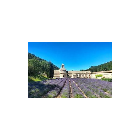 PASQUA IN COSTA AZZURRA E PROVENZA