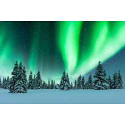 INCANTO ARTICO IN LAPPONIA FINLANDESE: Dall'11 al 15 Febbraio 2027
